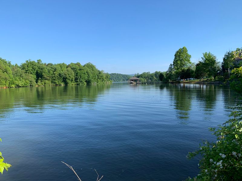 107 Crane Point, Rockwood, TN 37854