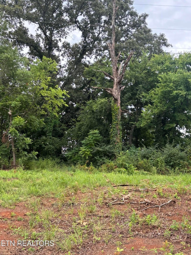 107 Long Powers Rd, Friendsville, TN 37737