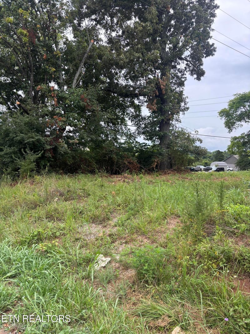 107 Long Powers Rd, Friendsville, TN 37737