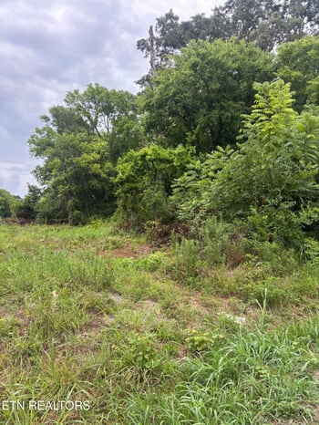 107 Long Powers Rd, Friendsville, TN 37737