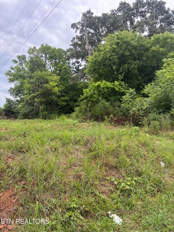 107 Long Powers Rd, Friendsville, TN 37737