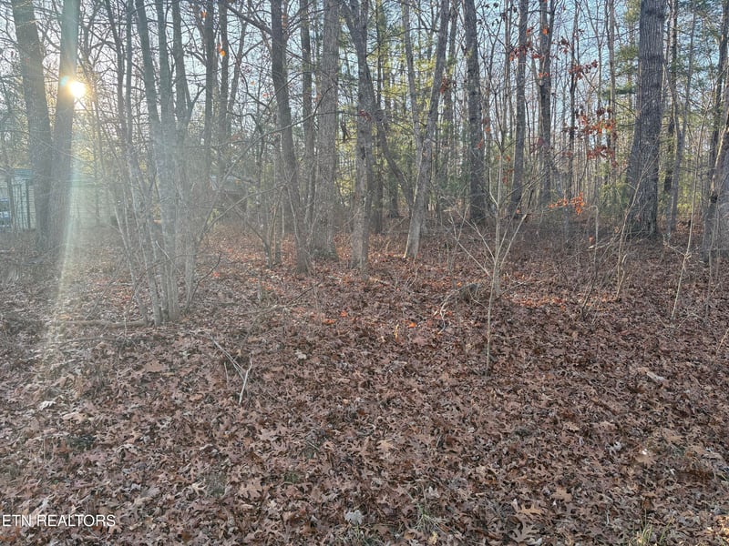 107 Ola Dr, Crossville, TN 38572
