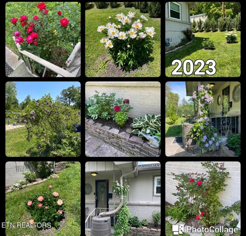 107 Taylor Rd, Oak Ridge, TN 37830