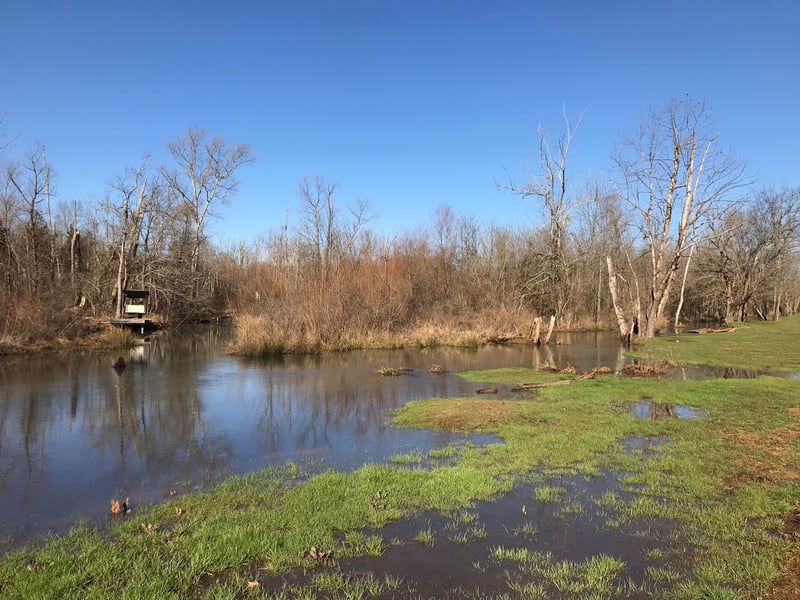 1071 Lakeview Road Rd, Lenoir City, TN 37772