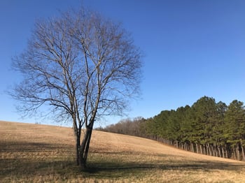 1071 Lakeview Road Rd, Lenoir City, TN 37772