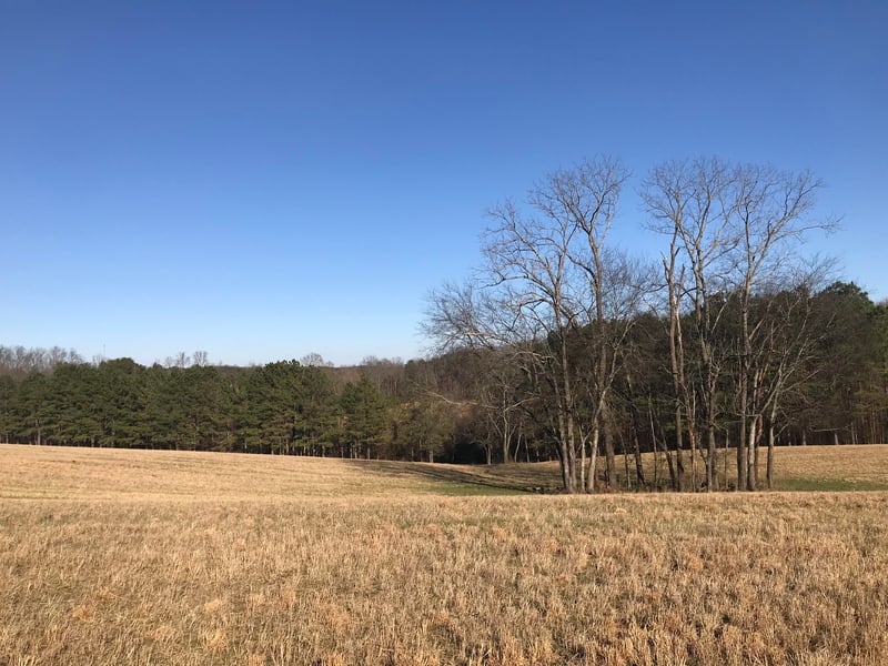 1071 Lakeview Road Rd, Lenoir City, TN 37772