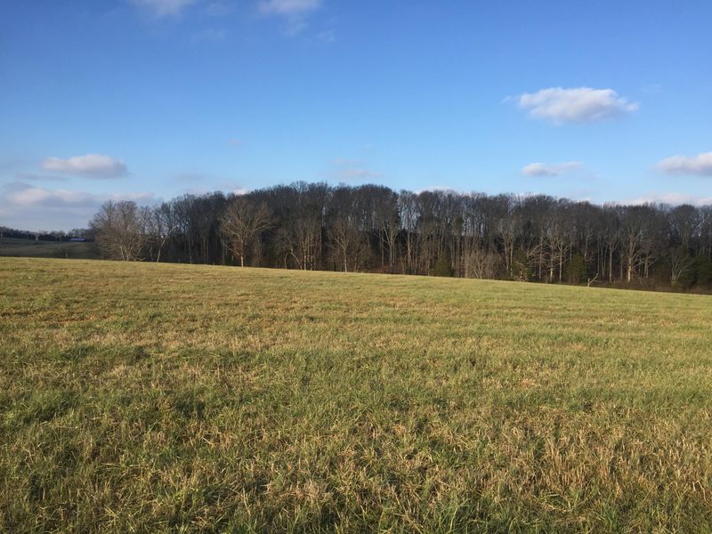 1077 Glenlock Rd, Sweetwater, TN 37874