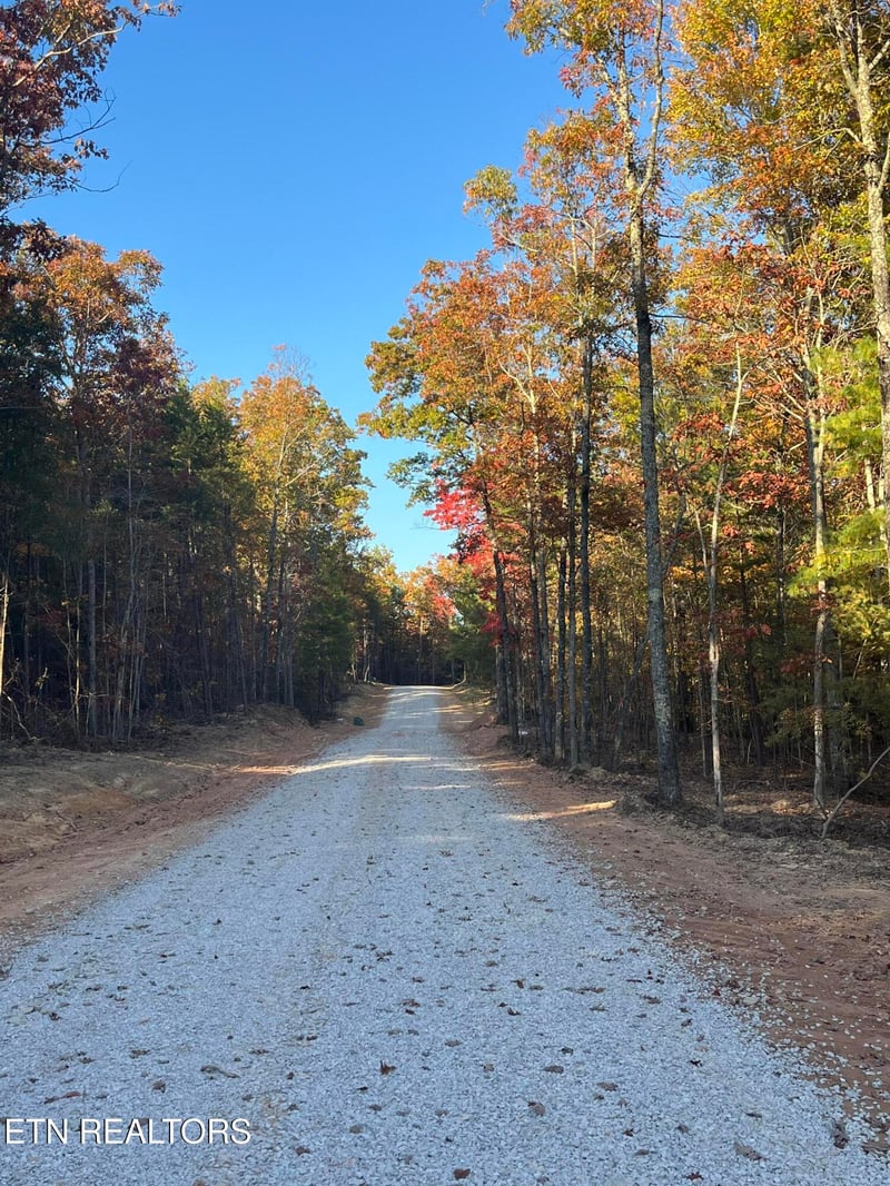 108 Cherokee Pa, Tellico Plains, TN 37385