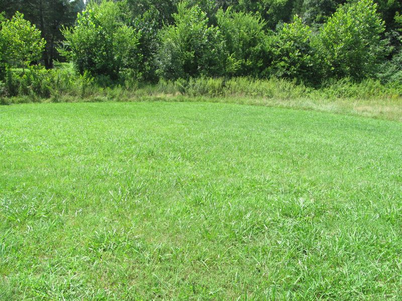 108 County Road 587, Englewood, TN 37329