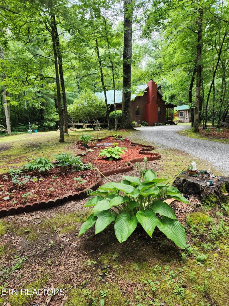 108 Goldminers Rd, Tellico Plains, TN 37385