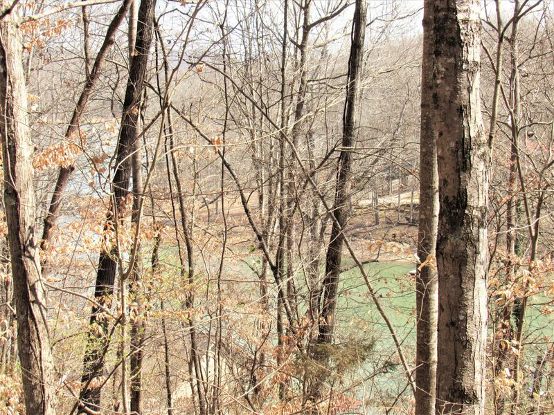 108 Hogohegee Rd, Andersonville, TN 37705