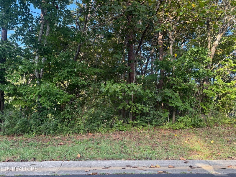 108 Nowata Dr, Loudon, TN 37774