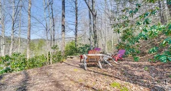 108 Province Dr, Townsend, TN 37882