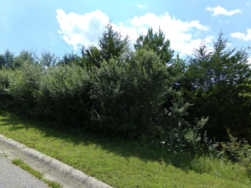 108 Wapiti Ln, Loudon, TN 37774