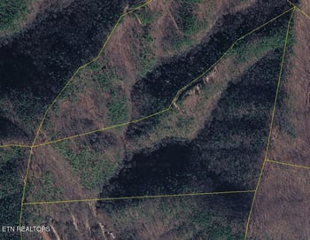 1080 Hembree Hollow Rd, Townsend, TN 37882