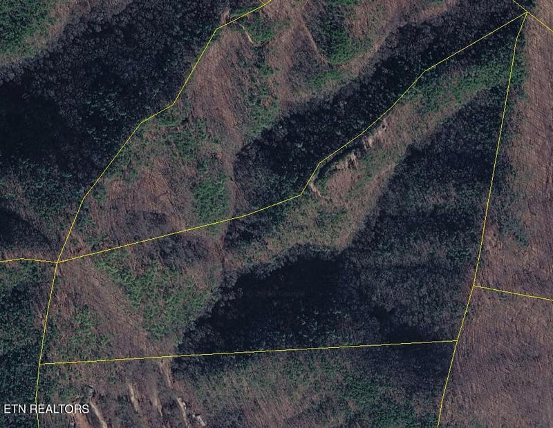 1080 Hembree Hollow Rd, Townsend, TN 37882
