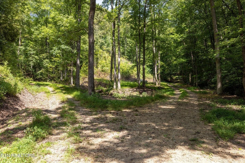 1080 Hembree Hollow Rd, Townsend, TN 37882