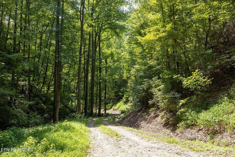 1080 Hembree Hollow Rd, Townsend, TN 37882