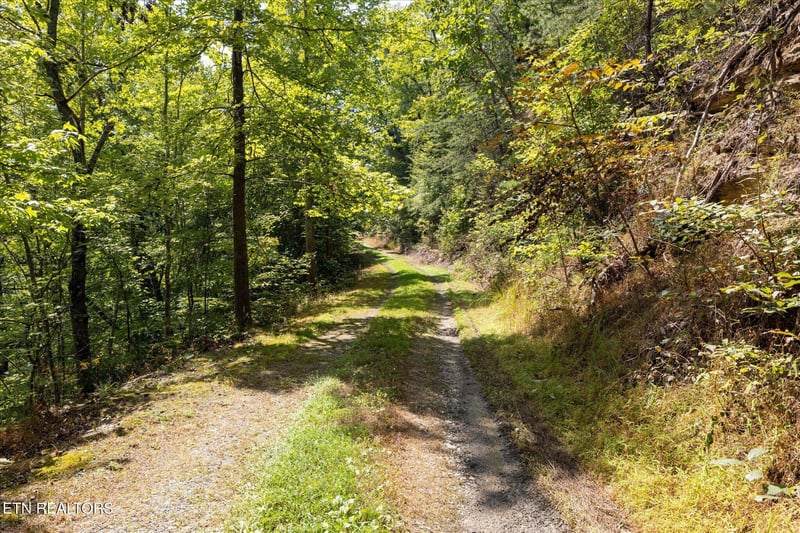 1080 Hembree Hollow Rd, Townsend, TN 37882