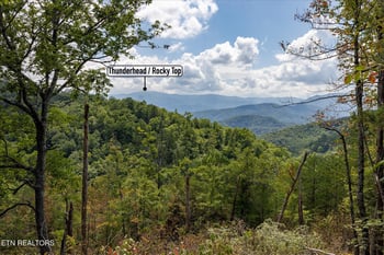 1080 Hembree Hollow Rd, Townsend, TN 37882
