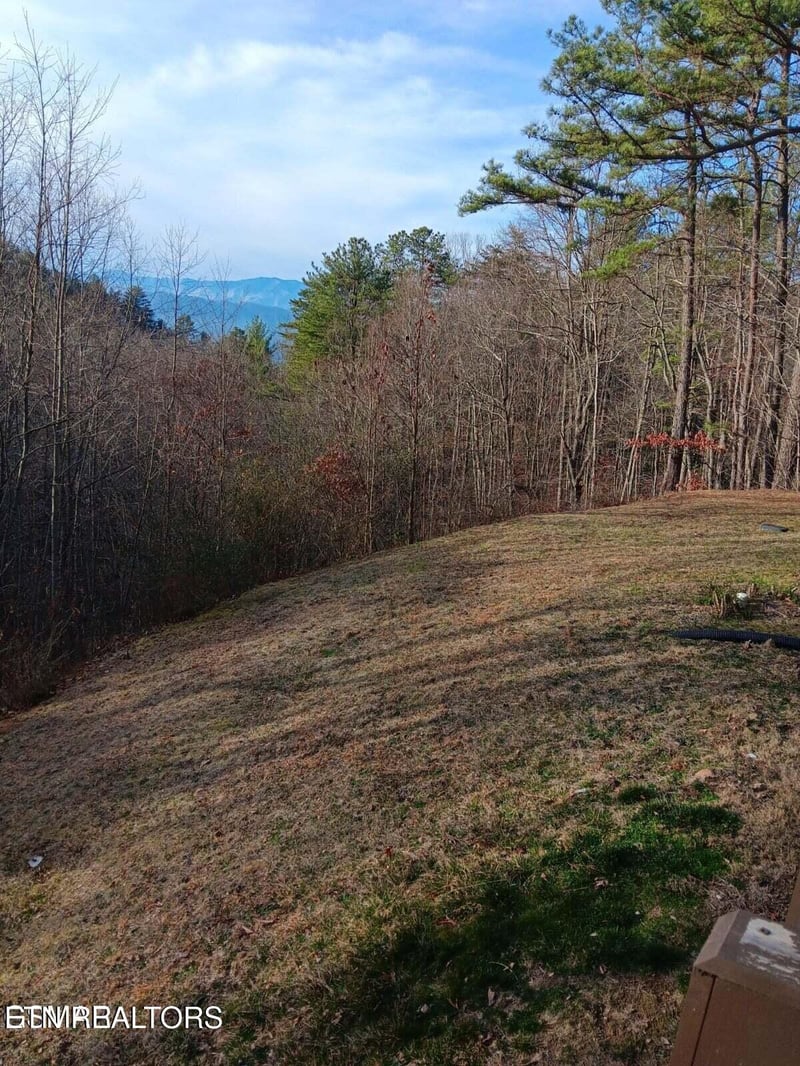 1081 Cove Rd #1011, Sevierville, TN 37876