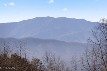 1081 Cove Rd #513, Sevierville, TN 37876