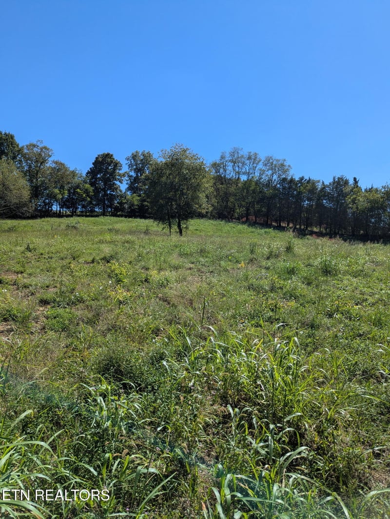 10816 Richland Rd #24-89, Mascot, TN 37806