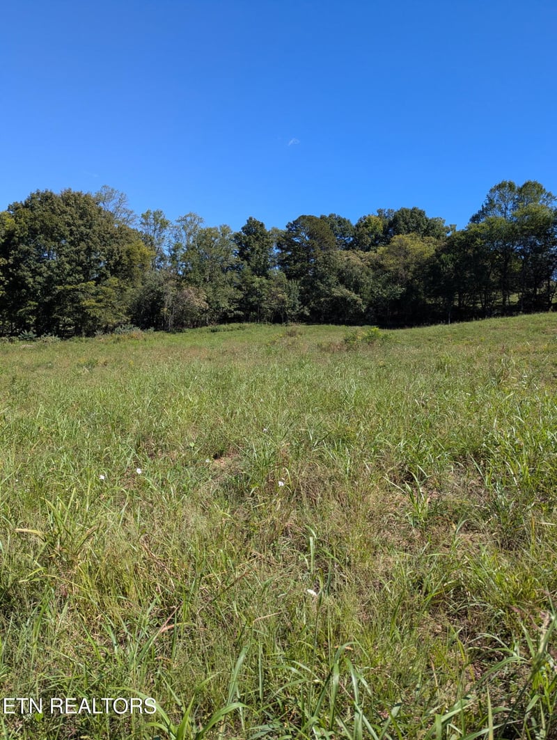 10816 Richland Rd, Mascot, TN 37806