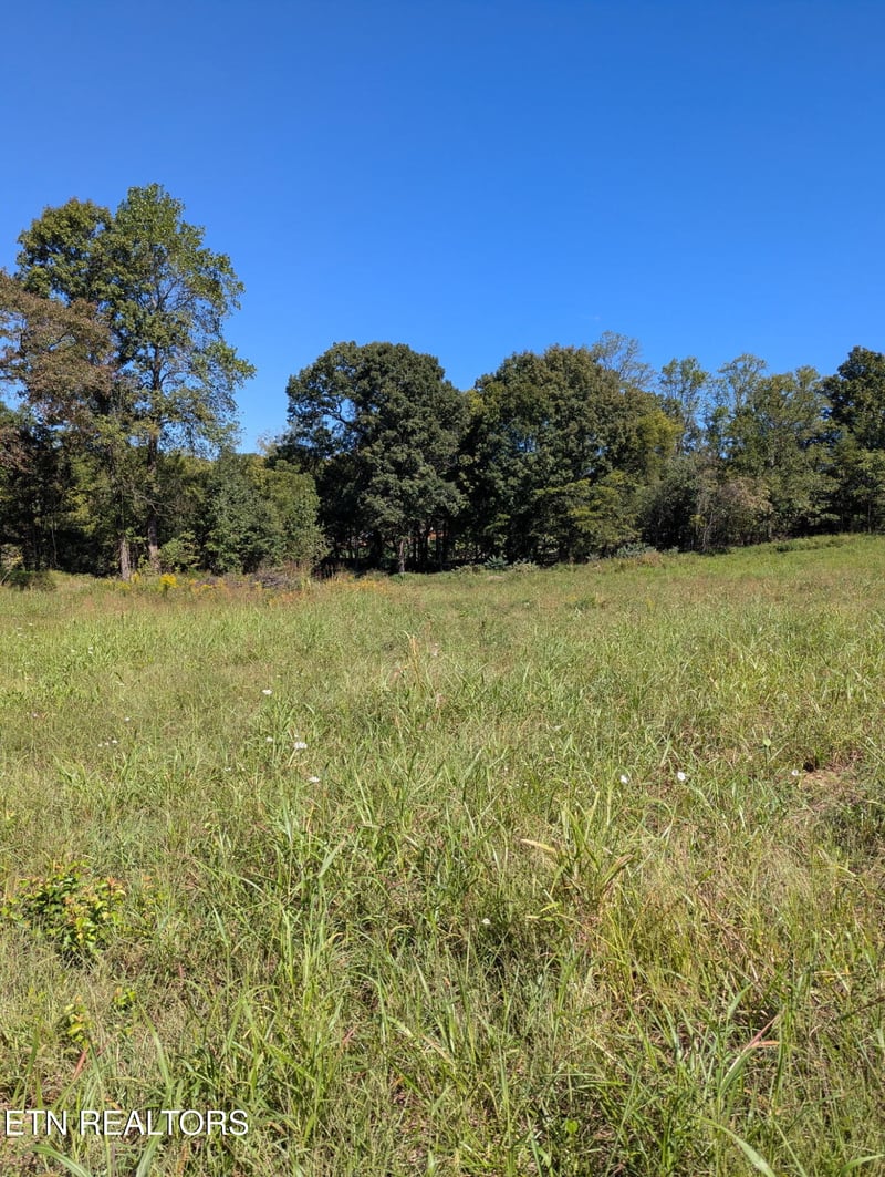 10816 Richland Rd, Mascot, TN 37806