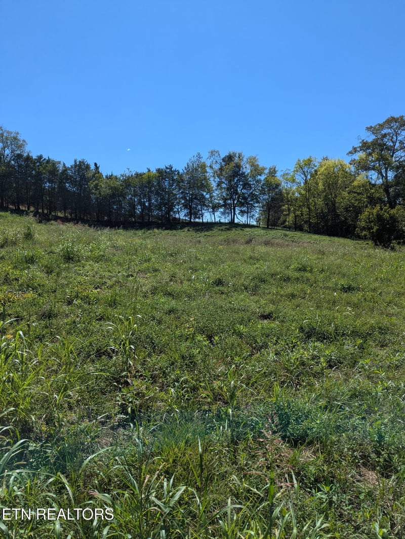 10816 Richland Rd, Mascot, TN 37806