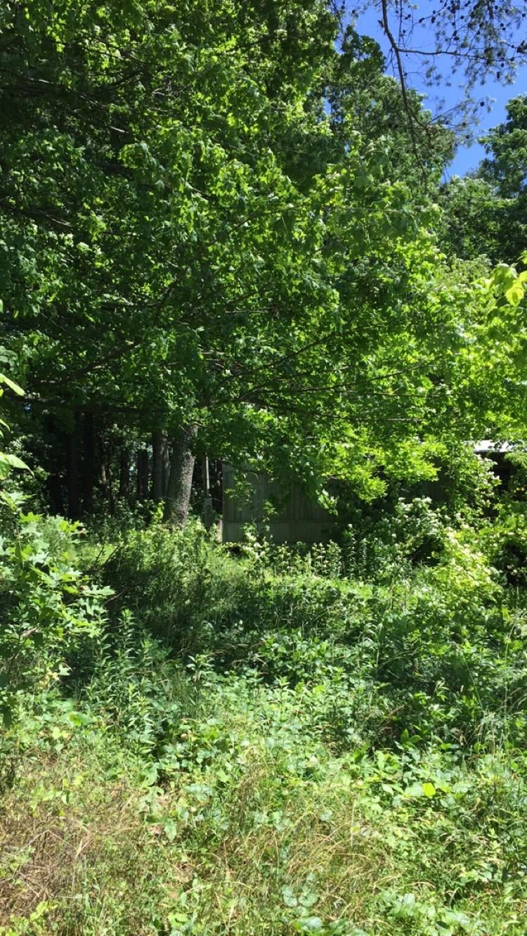 10832 Mountain Rd, Luttrell, TN 37779