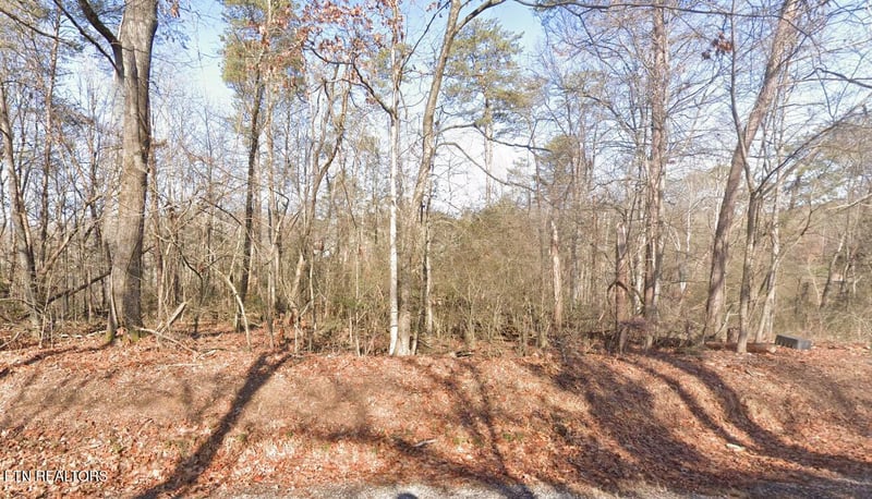 109 Chanusi Way, Loudon, TN 37774