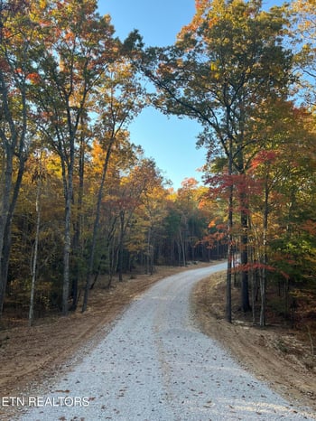 109 Cherokee Pa, Tellico Plains, TN 37385