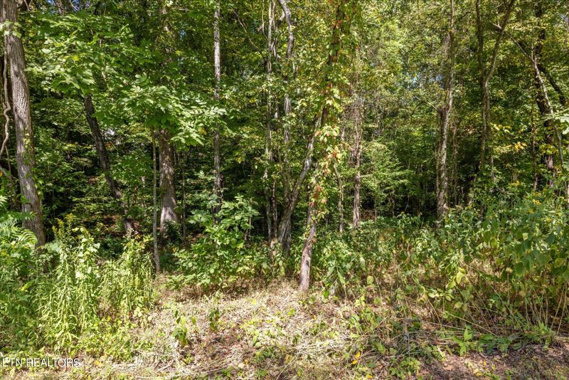 109 Oostagala Dr, Loudon, TN 37774