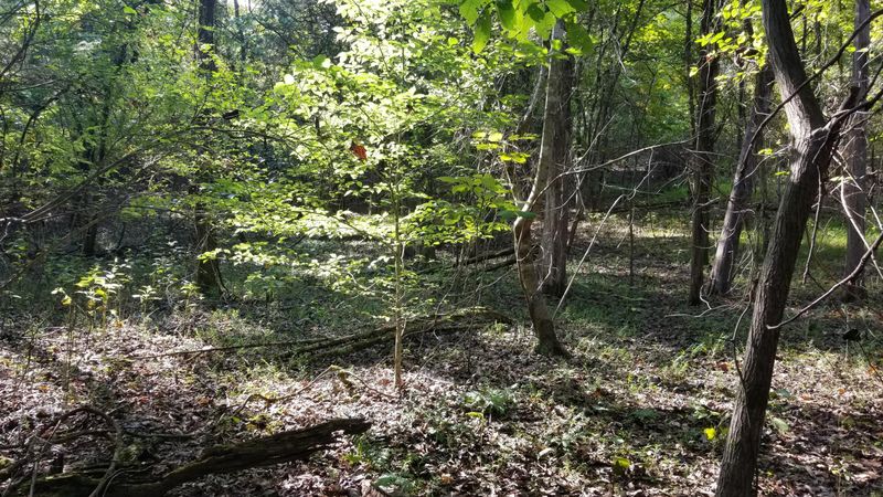 109 River Point Dr, Lenoir City, TN 37772