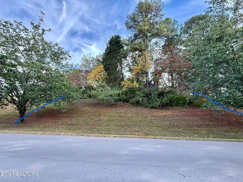 109 Timberlake Dr, Greenback, TN 37742