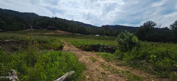 1095 Stanley Creek Rd, Oneida, TN 37841