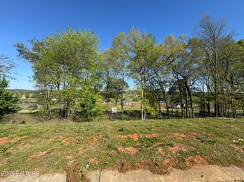 1097 Black Cove Ln, Loudon, TN 37774