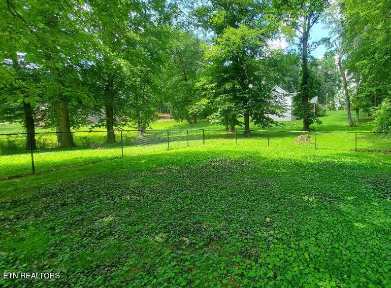 1097 Cooper Lake Rd, Oneida, TN 37841