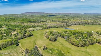 11 Cedar Hills Rd, Grandview, TN 37337