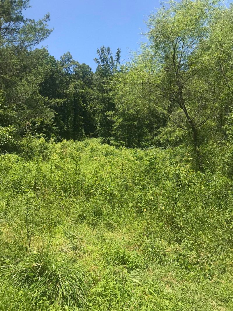 11 Lone Mountain Rd, Andersonville, TN 37705