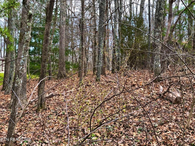 11 Oxford Cir, Crossville, TN 38558