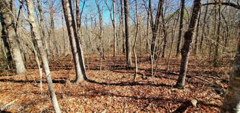 11 Rhonda Rd, Monterey, TN 38574