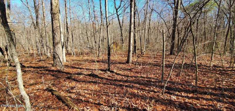 11 Rhonda Rd, Monterey, TN 38574