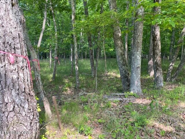 11 Rolling Green Cir, Crossville, TN 38558