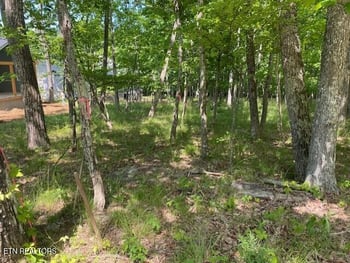 11 Rolling Green Cir, Crossville, TN 38558