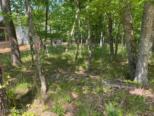11 Rolling Green Cir, Crossville, TN 38558