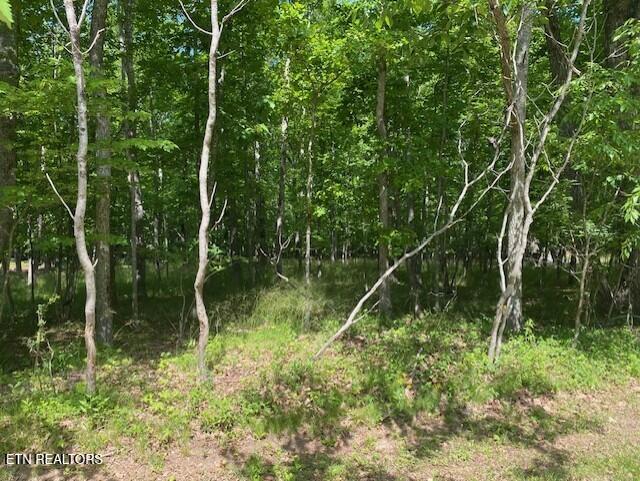 11 Rolling Green Cir, Crossville, TN 38558