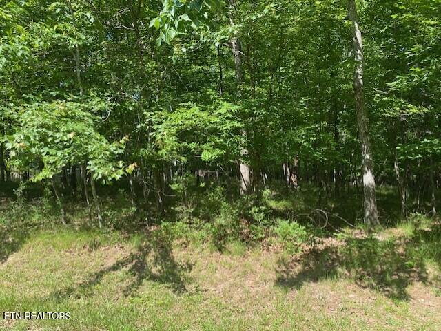 11 Rolling Green Cir, Crossville, TN 38558