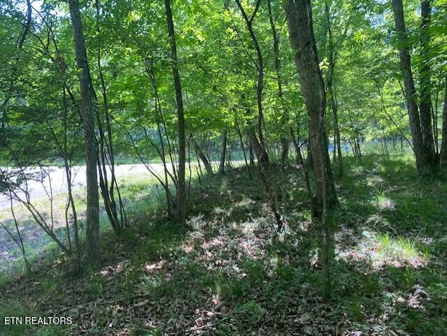 11 Rolling Green Cir, Crossville, TN 38558